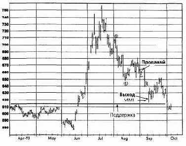 ������ ����, ������ 1993 �������� �������