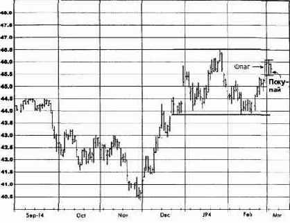 �������, ���� 1995 ������� �������� �������