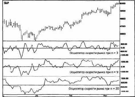 �� ���� ������� �������� �������� 