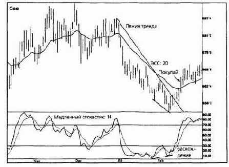 ����� ������������� ��������� �� ����� 