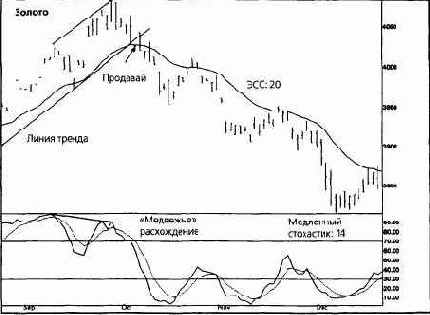 ����������� ����������, ������ ����� ������ 