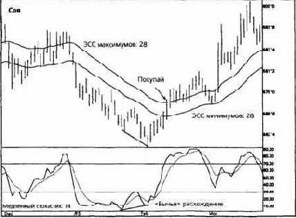 ������ ������� ������� ��� ��� 