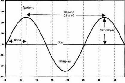 ����, ������� � �������