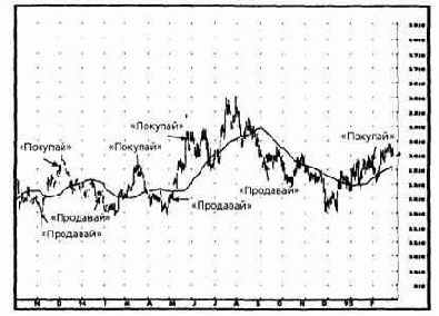 � ���������� ���������� ���������� ������� 