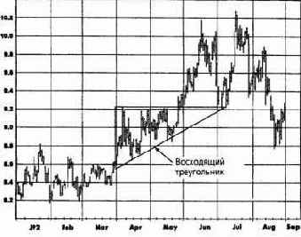 ���������� �����������: �����, ������� 