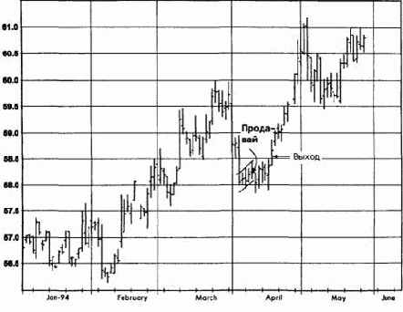 �������� �����, ���� 1994 �������� �������