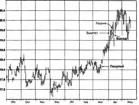 ������ �����, ���� 1995 �������� �������