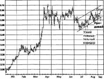 ��������� ���, ������� 1993 ������� �������� �������