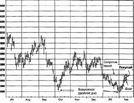 ������ ����, ��� 1995 ������� �������� �������