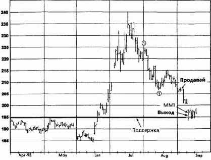 ������ ����, ������� 1993 �������� �������