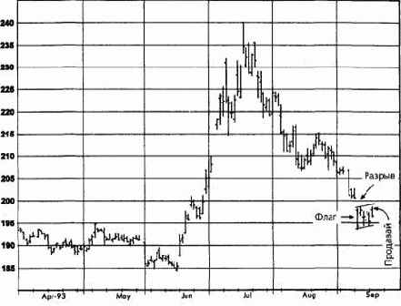 ������ ����, ������� 1993 ������� �������� �������