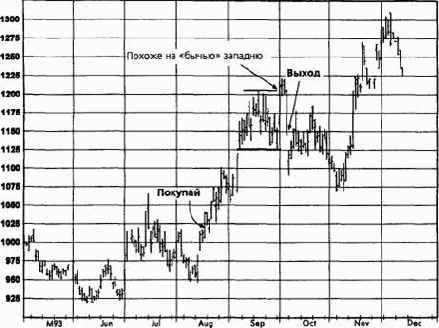 �����, ������� 1993 �������� �������