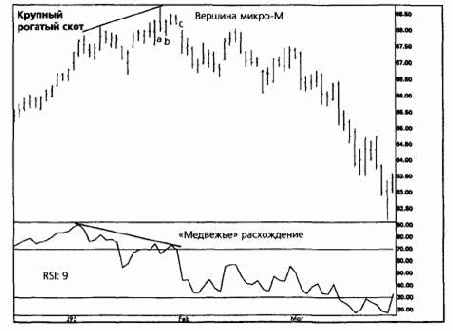 � ����� �������� �������� ����� 