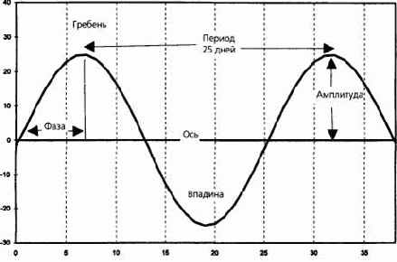 ����, ������� � �������