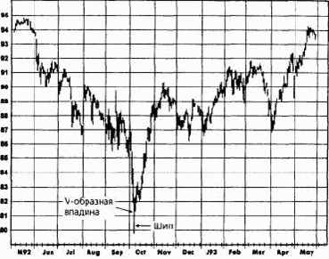 ������� ������� � �������