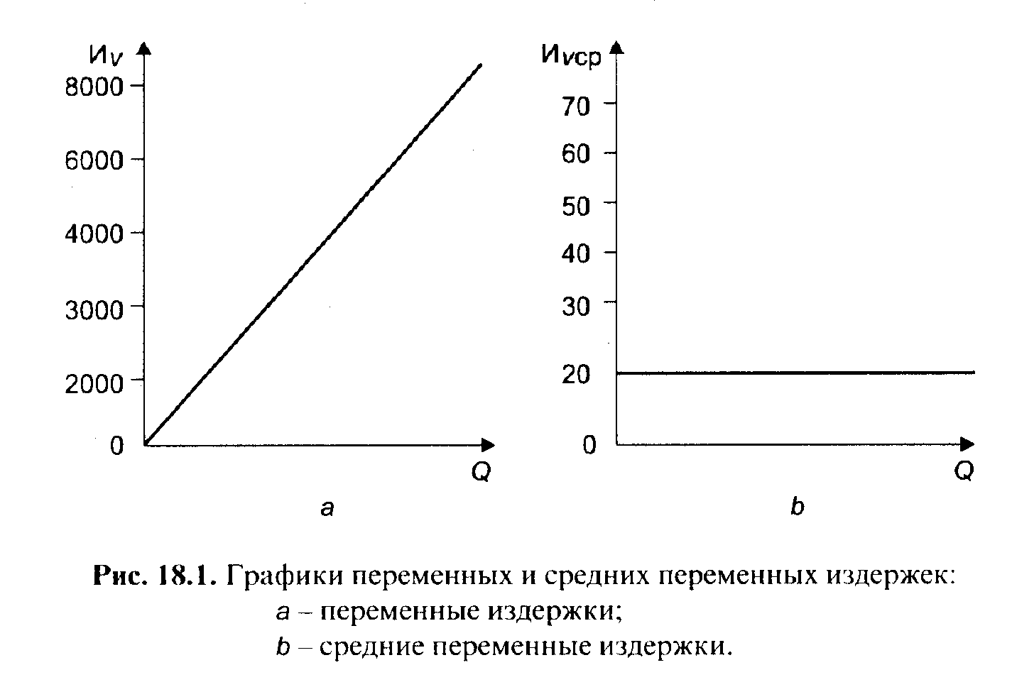 ������������ ���������� ����������� ������������ �����������