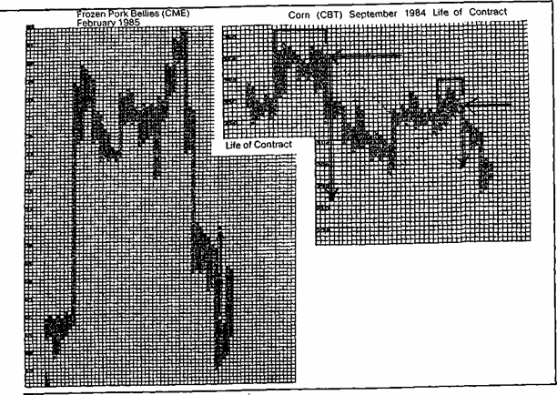 ������� ������ ������������ ������� �� 