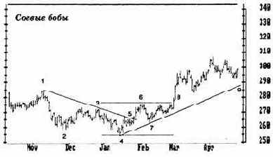 ���������� ����