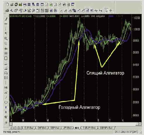Анатомия Аллигатора