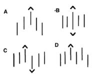 ����� �. - Investor�s Dream, ��� ����� ����� �� �������