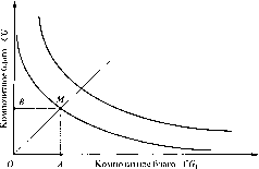 ��������� ��������� - ����������� � ���������������� ������������� ����������