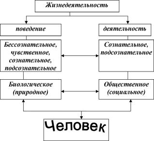 ������������� ���������������� - �.�. ������