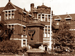 ���������� - ��� ����� ������ ���� ������� ����� Xx ����