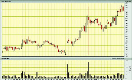 ���������� - ��� ����� ������ ���� ������� ����� Xx ����