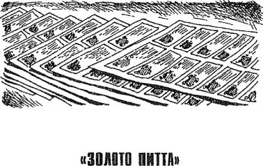 ��������� - ����� ��������� ����� �����, �������, ������