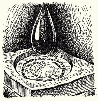 ��������� - ����� ��������� ����� �����, �������, ������