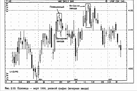 показана хорошо сформированная вечерняя