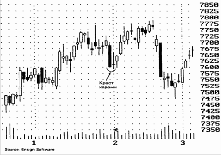 видно, как дожи, появившийся
