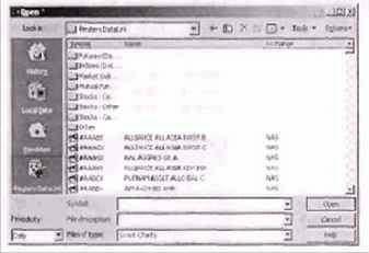 � ��������� MetaStock, ������� File 