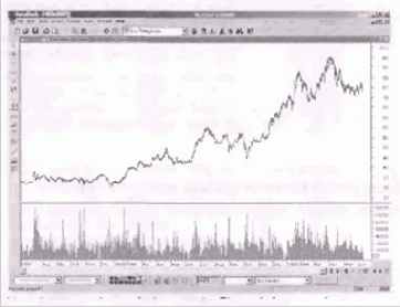 ����� ������ �����