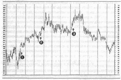 ������ ����������� ��������� � ������������