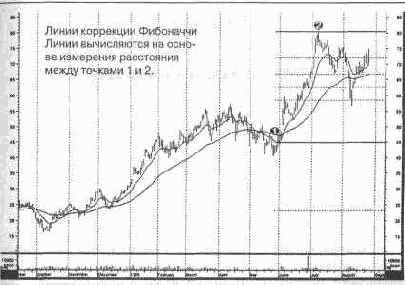 ����� ��������� ���������