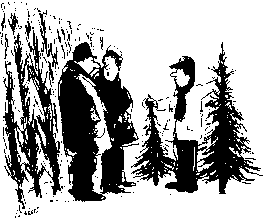 ������� - �������� ���������