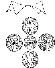 Занг - Синергетическая Экономика. Время И Перемены В Нелинейной Экономической Теории