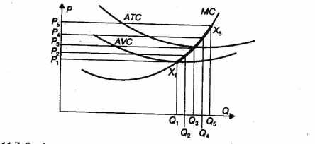 ������ ����������� �����