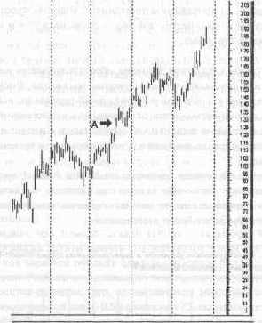 ������� �������� ��������