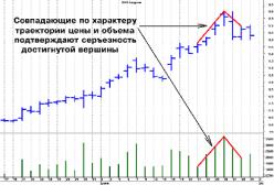 ������� �. - 7 ������ ��������