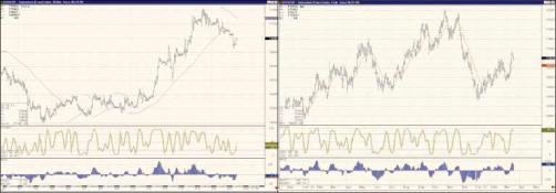 ������� ����� - �������� �������. ���������.