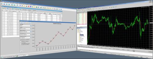 Виктор Борисов - «MaxProfit»