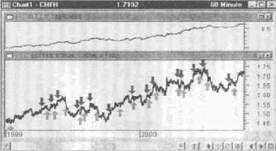 ���� �������� �������� �����������