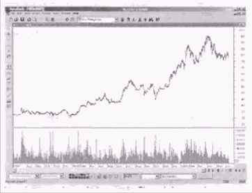 ����� ������ �����