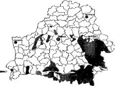 ��������� �. �. - ��������� �������