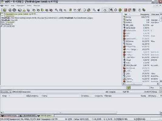 Настройка внешнего вида rmDC++.