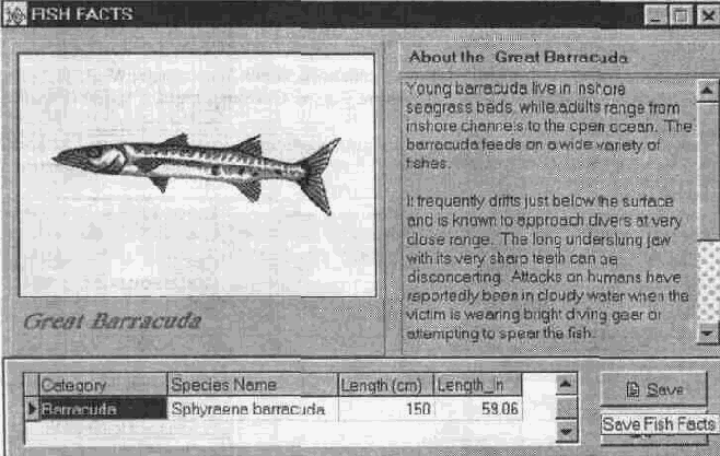 ���������� ������� Data Access