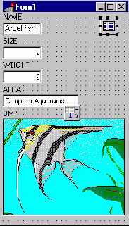 ��������� TField