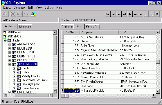 SQL Explorer � ������� ������